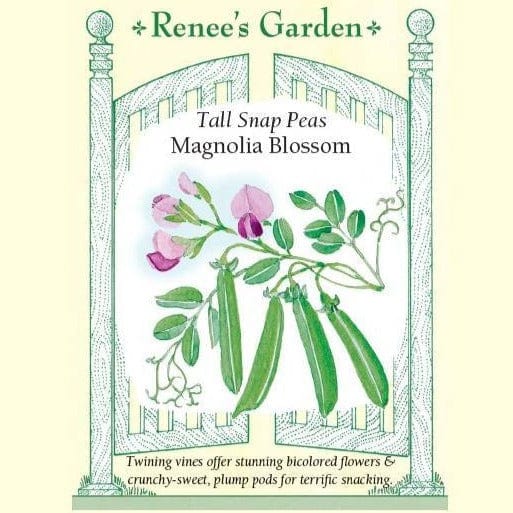 Pea Magnolia Blossom - Renee's Garden
