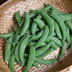 Organic Pea Sugar Daddy - Renee's Garden - Image 3