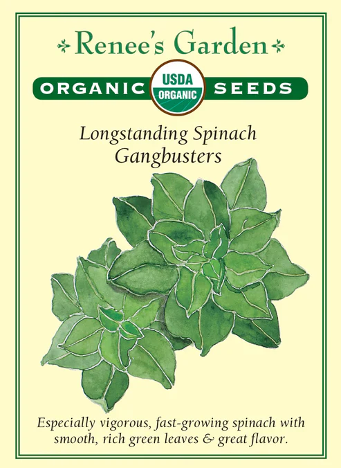 Organic Spinach Gangbusters - Renee's Garden