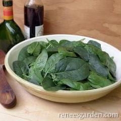 Spinach Little Hero - Renee's Garden - Image 2
