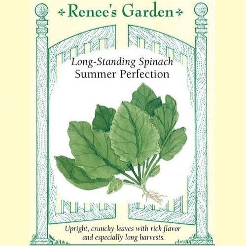 Spinach Summer Perfection - Renee's Garden