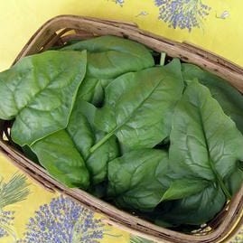 Spinach Summer Perfection - Renee's Garden - Image 2