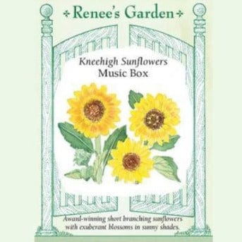 Sunflower Music Box - Renee's Garden