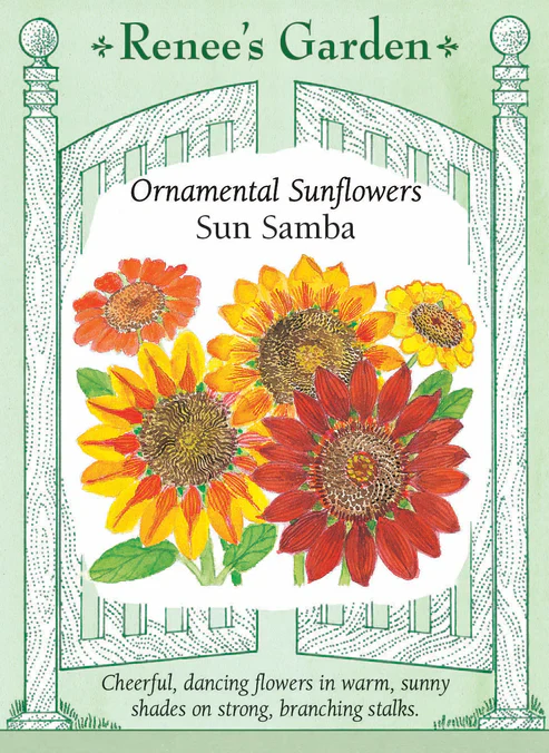 Sunflower Sun Samba - Renee's Garden