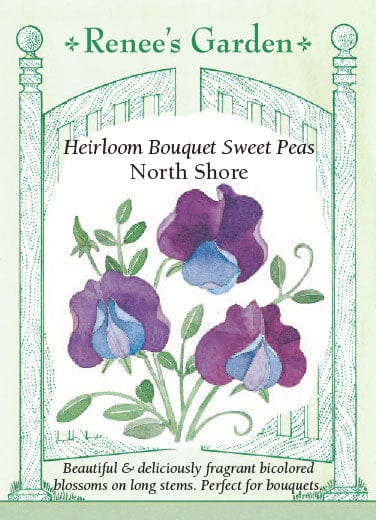 Sweet Pea North Shore - Renee's Garden