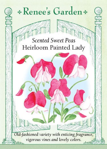 Sweet Pea Heirloom Painted Lady - Renee's Garden