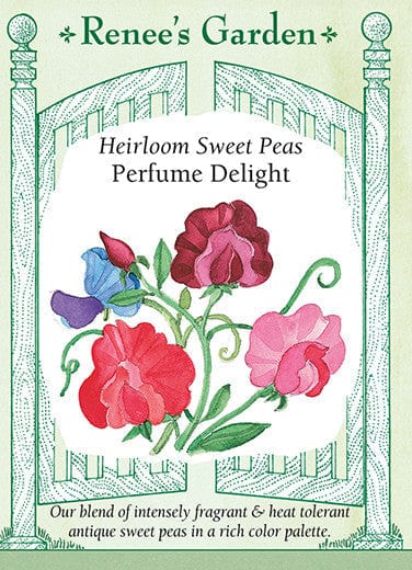 Sweet Pea Perfume Delight - Renee's Garden