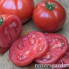 Tomato Big Beef - Renee's Garden - Image 5