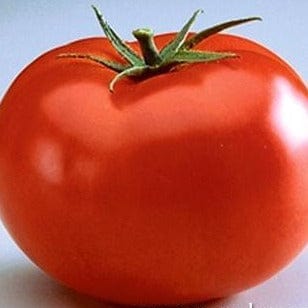 Tomato Big Beef - Renee's Garden - Image 6