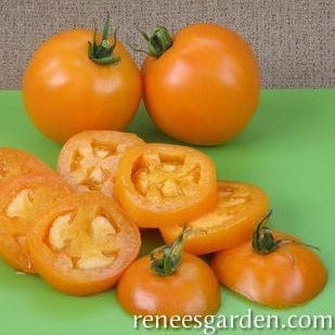 Tomato Mandarin Cross - Renee's Garden - Image 2