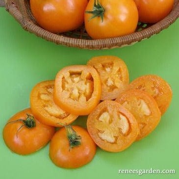 Tomato Mandarin Cross - Renee's Garden - Image 5