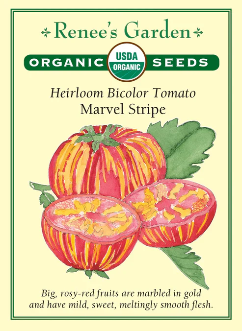 Organic Tomato Marvel Stripe - Renee's Garden