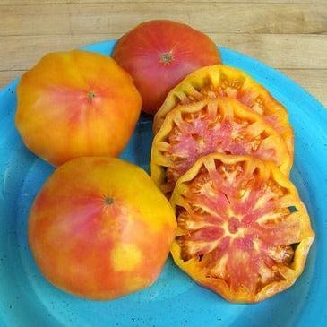 Organic Tomato Marvel Stripe - Renee's Garden - Image 2