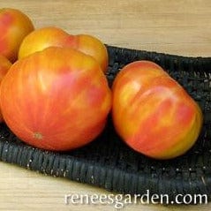 Organic Tomato Marvel Stripe - Renee's Garden - Image 4