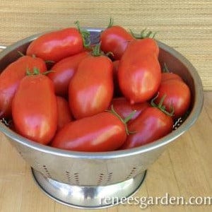 Organic Tomato Italian San Marzano - Renee's Garden - Image 3