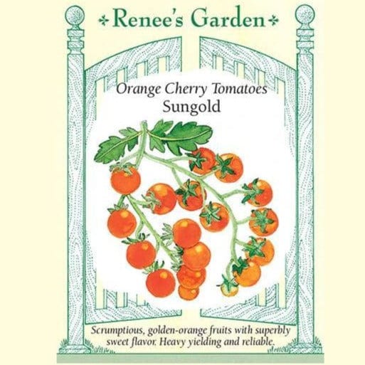 Tomato Sungold - Renee's Garden