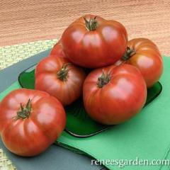 Organic Tomato Tasmanian Chocolate - Renee's Garden - Image 5