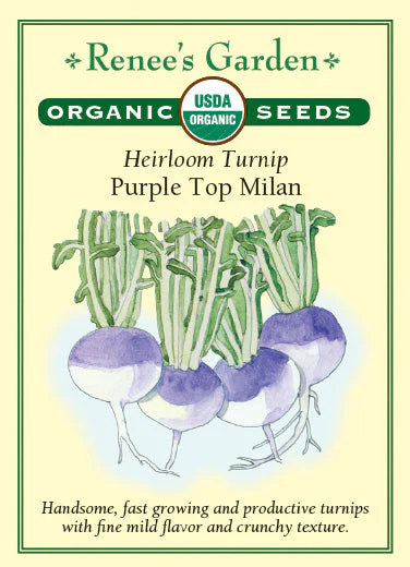 Organic Turnip Purple Top Milan - Renee's Garden