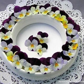 Grandma’s Johnny Jump Ups Violas - Renee's Garden - Image 3