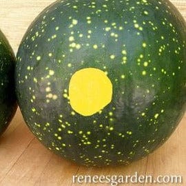 Organic Watermelon Moon & Stars - Renee's Garden - Image 2