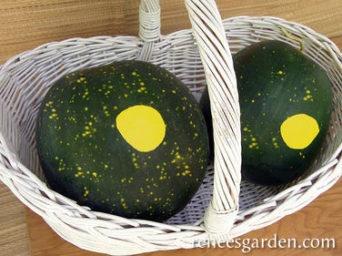 Organic Watermelon Moon & Stars - Renee's Garden - Image 4