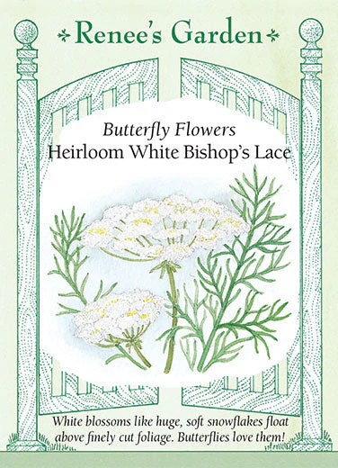 Bishop's Lace White - Renee's Garden