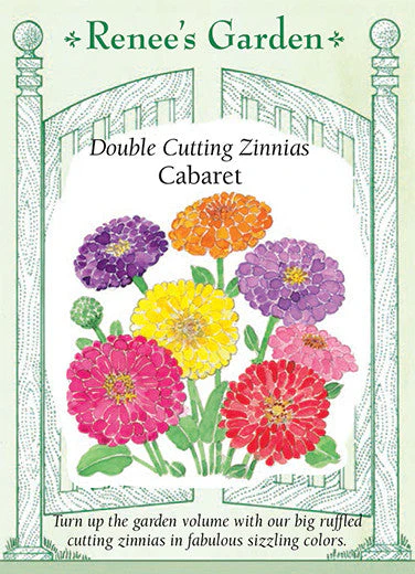 Zinnia Cabaret - Renee's Garden