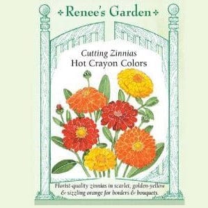 Zinnia Hot Crayon Colors - Renee's Garden