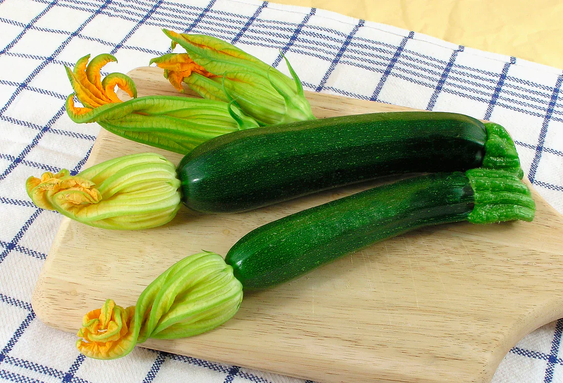 Zucchini Raven Twilight - Renee's Garden - Image 3