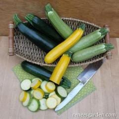 Zucchini Jade, Gold & Emerald - Renee's Garden - Image 3