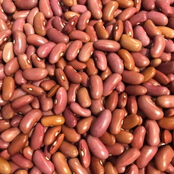 Bean Light Red Kidney - Saanich Organics