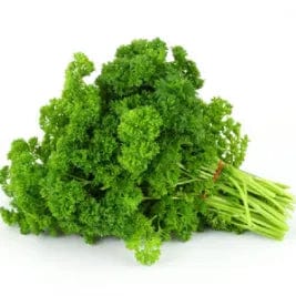Parsley Forest Green - Saanich Organics