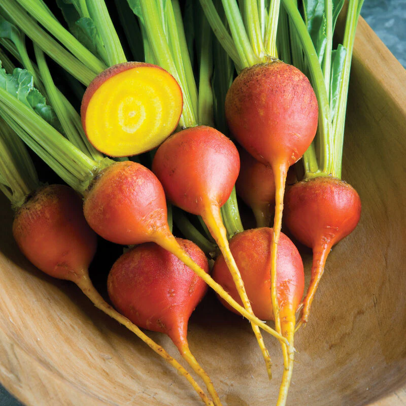 Beet Touchstone Gold - Saanich Organics