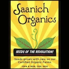 Mustard Mix - Saanich Organic - Image 2