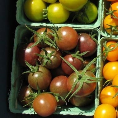 Tomato Black Cherry - Saanich Organics - Image 2