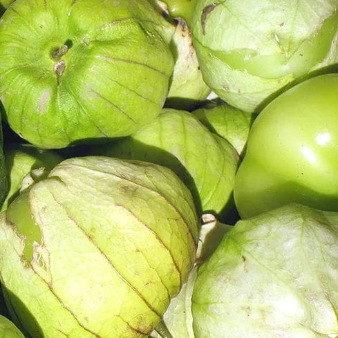 Tomatillo Toma Verde - Saanich Organics