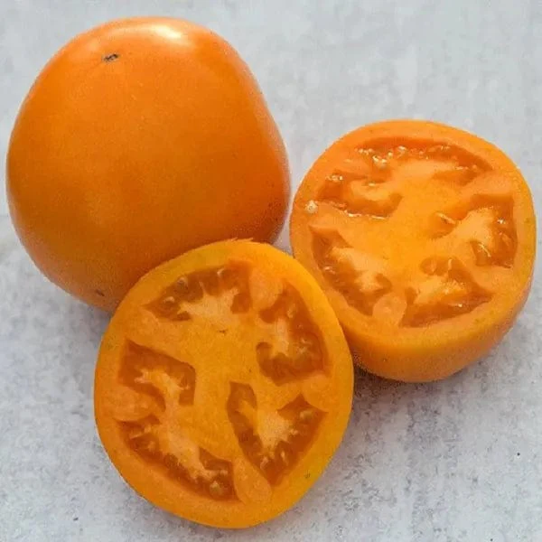 Tomato Orange You Glad - Saanich Organics