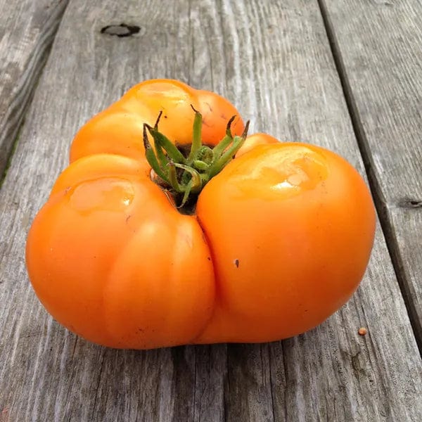 Tomato Yellow Brandywine - Saanich Organics