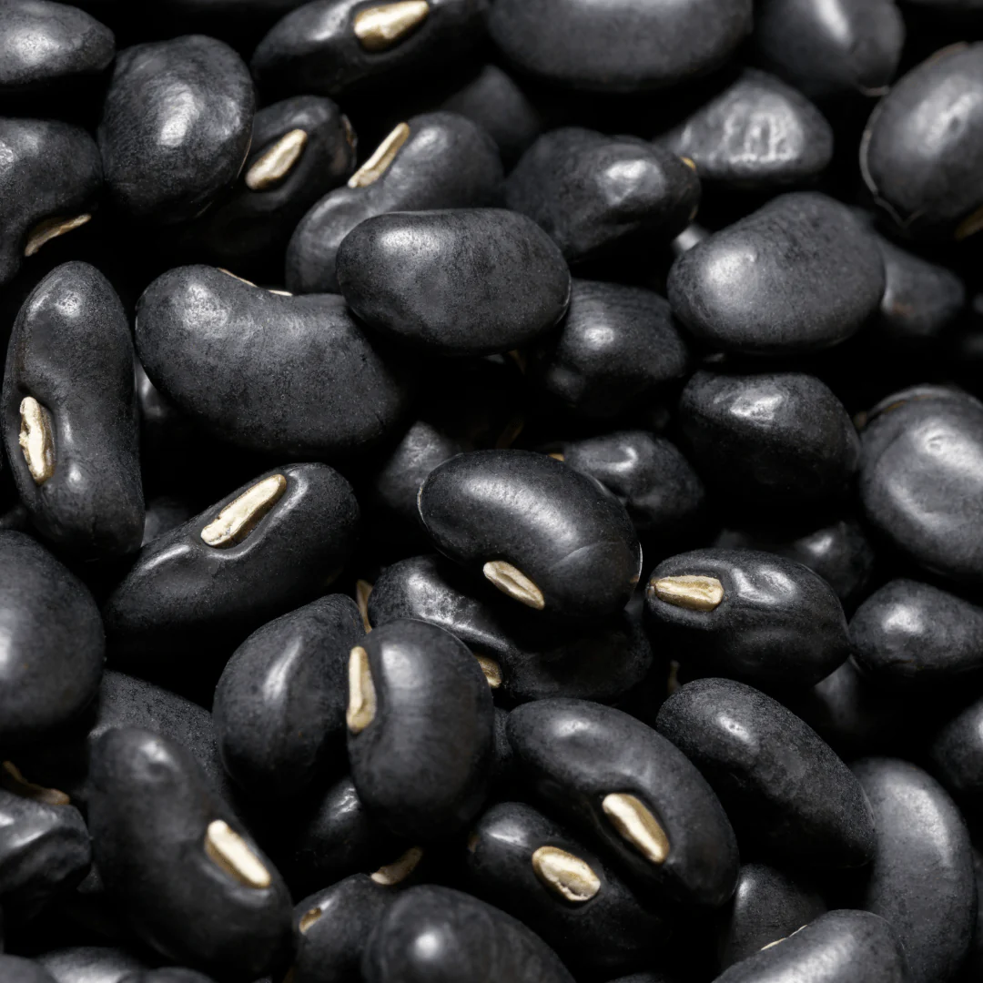 Bean Black Turtle Bush - Salt Spring Seeds