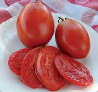 Tomato Amish Salad Cherry - Salt Spring Seeds - Image 2