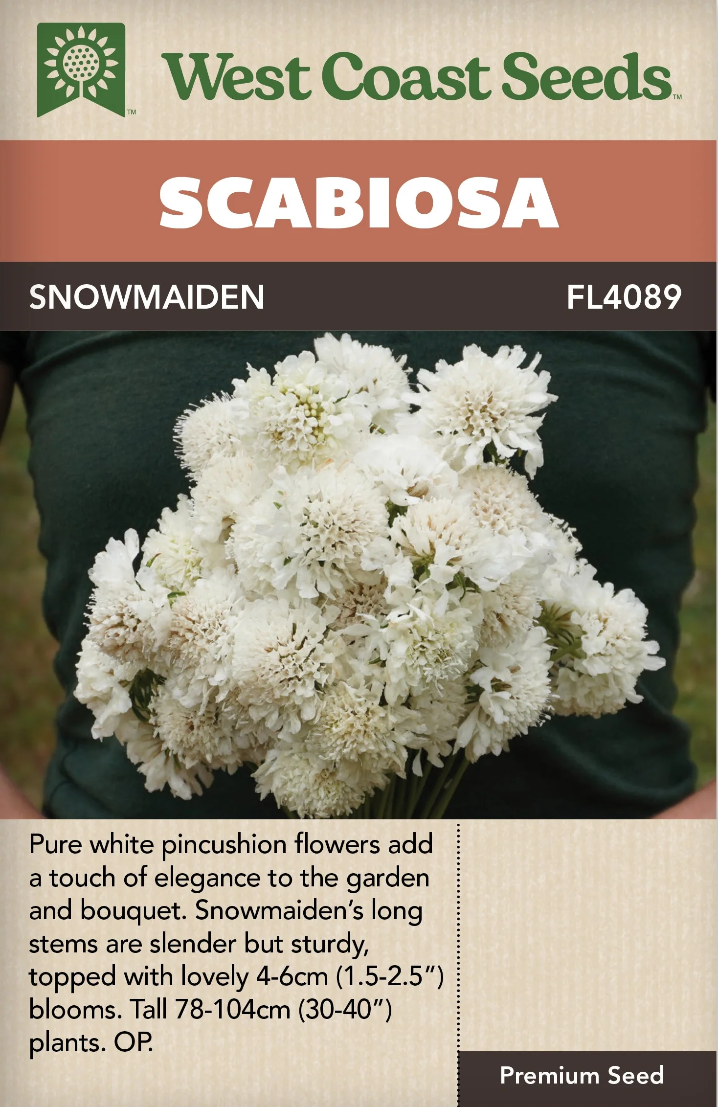 Scabiosa Snowmaiden - West Coast Seeds
