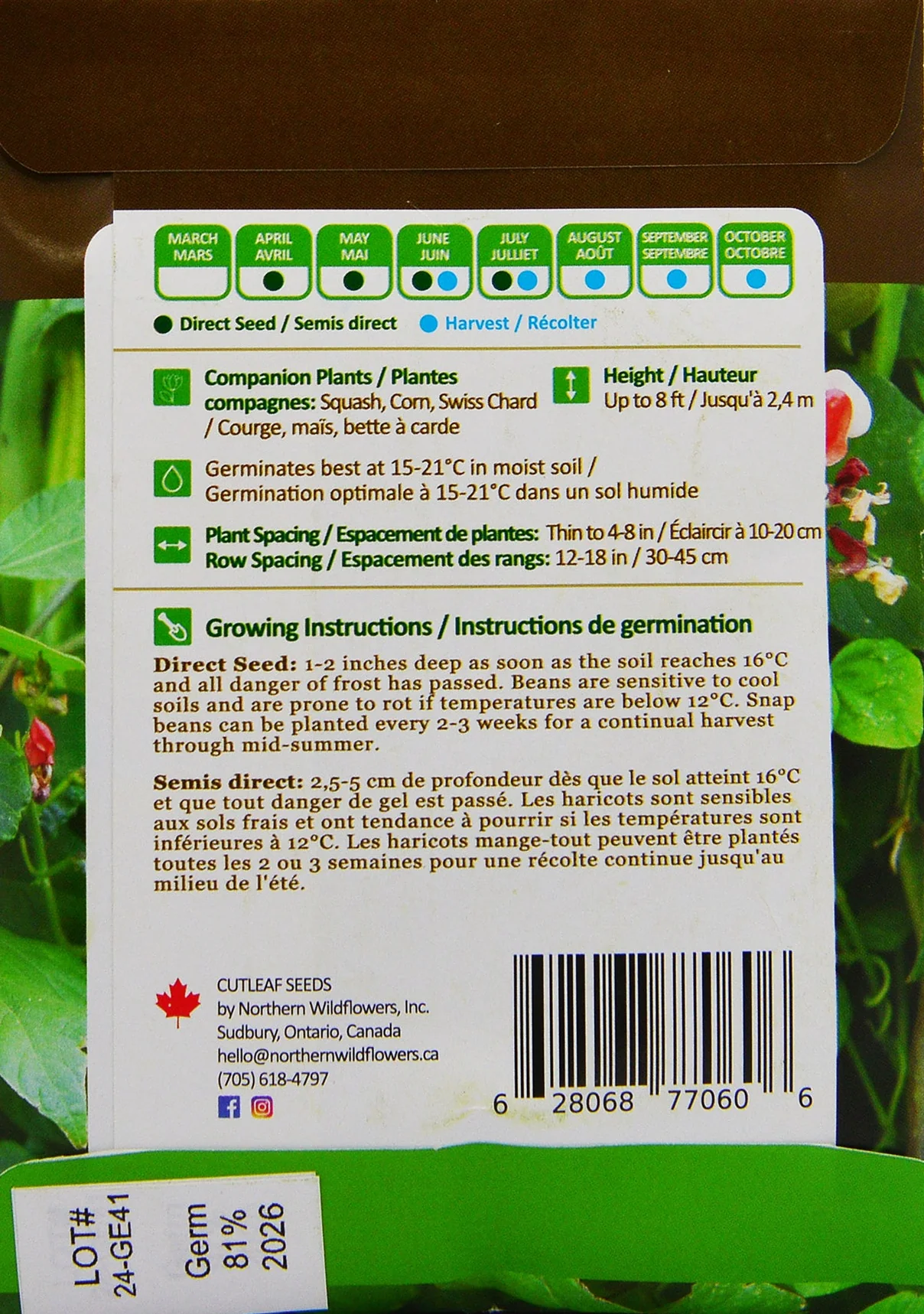 Scarlet Runner Bean - Northern Wildflowers - Image 2