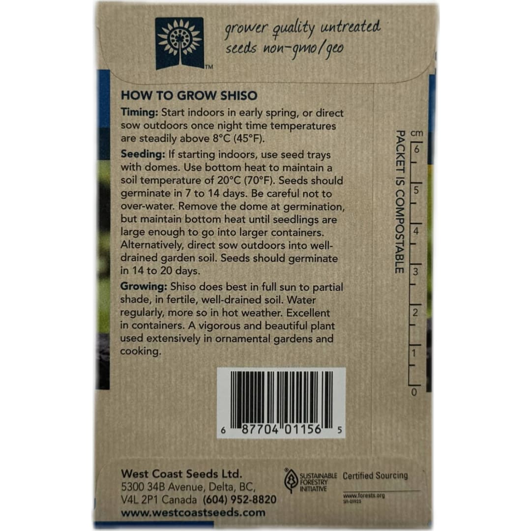 Shiso Red Perilla - West Coast Seeds - Image 3