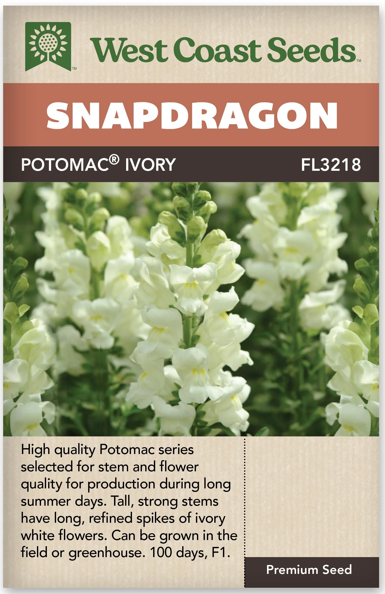 Snapdragon Potomac Ivory - West Coast Seeds