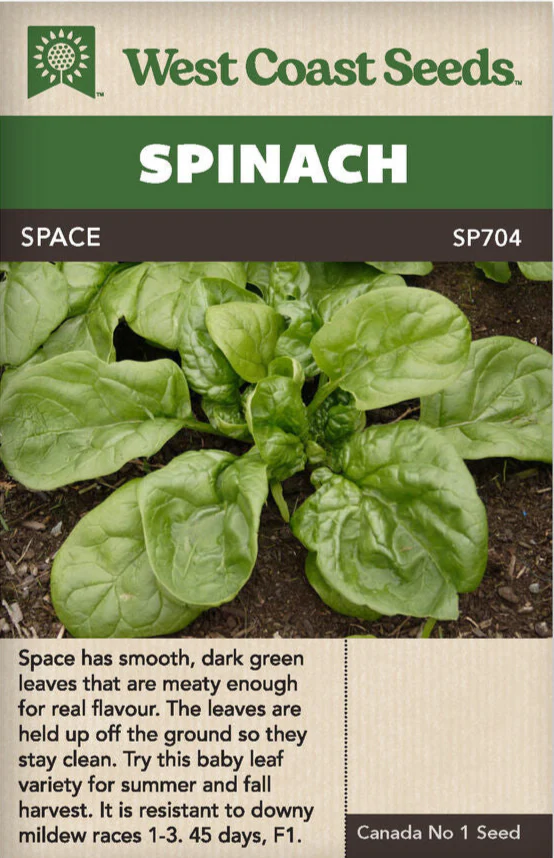 Spinach Space - West Coast Seeds