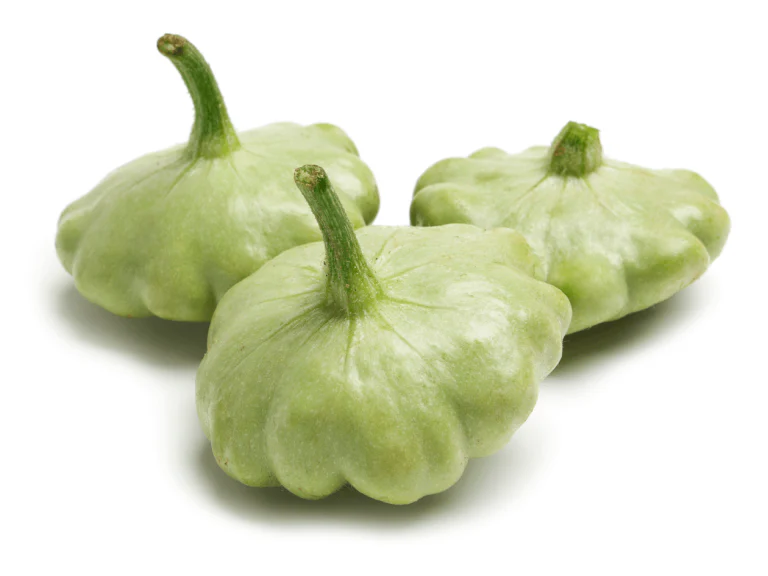 Squash Benning's Green Tint - Ontario Seed Company
