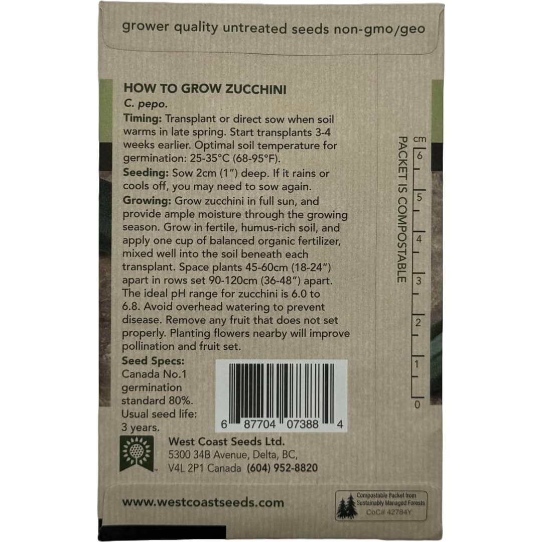 Squash Noche - West Coast Seeds - Image 3