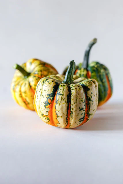 Squash Thriller - West Coast Seeds - Image 2