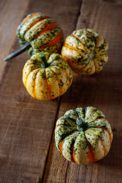 Squash Thriller - West Coast Seeds - Image 4