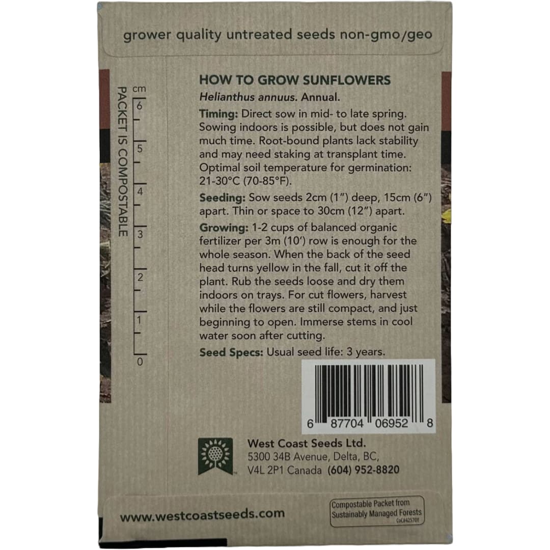 Sunflower Incredible - West Coast Seeds - Image 3
